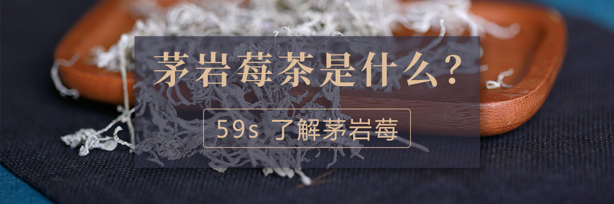 59S了解茅巖莓